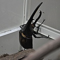 DSC_0504.jpg