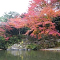 IMGP2242.JPG