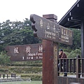 IMGP4806.JPG
