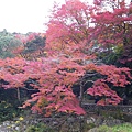 IMGP2268.JPG