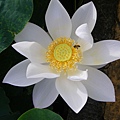 IMGP6723.JPG