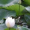 IMGP6729.JPG