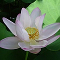 IMGP6772.JPG