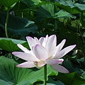 IMGP6777.JPG