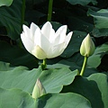 IMGP6782.JPG