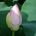 IMGP6793.JPG