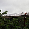 IMGP2312.JPG