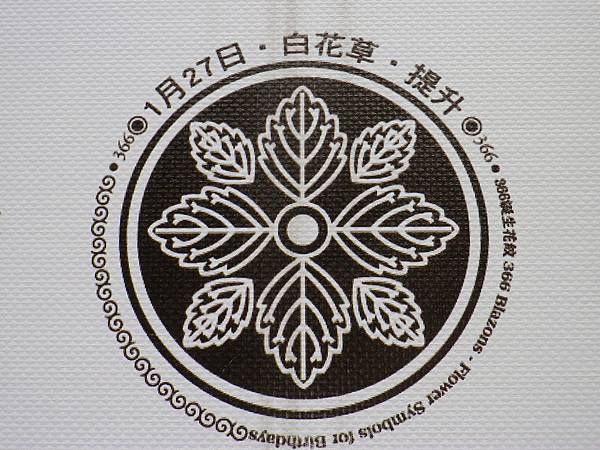 IMGP4084.JPG