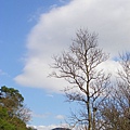 IMGP4978.JPG