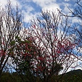 IMGP4635.JPG