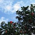IMGP4722.JPG