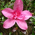 IMGP4740.JPG