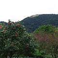 IMGP4753.JPG
