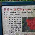 IMGP4779.JPG