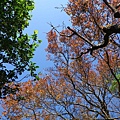 IMGP4954.JPG