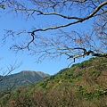 IMGP4958.JPG