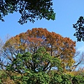 IMGP4976.JPG