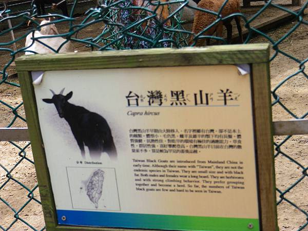 IMGP7953