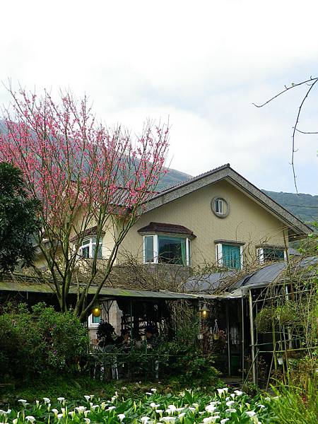 IMGP8840
