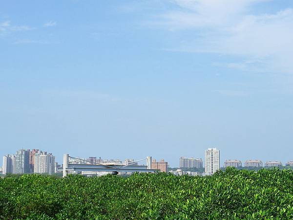 IMGP2533
