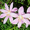 IMGP6227