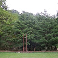 IMGP7462
