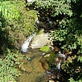 IMGP5994