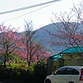 IMGP5998