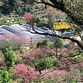 IMGP6001