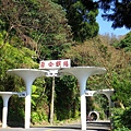 IMGP6002