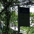 IMGP6008