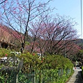 IMGP6039