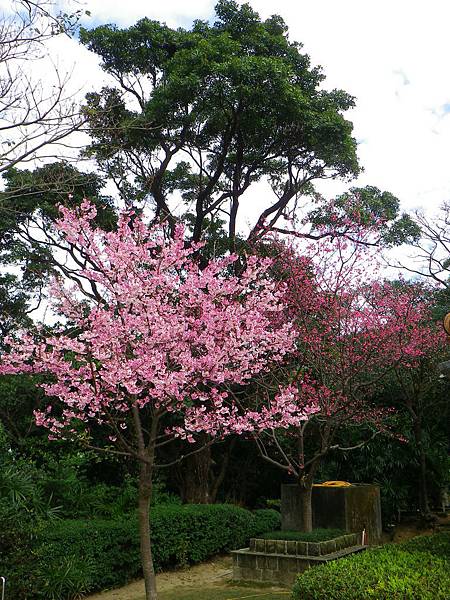 IMGP6387