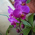 IMAG0179