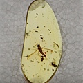 IMGP0539