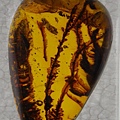 IMGP0606