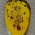 IMGP0608