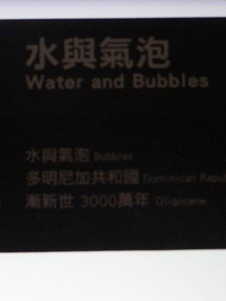 IMGP0609