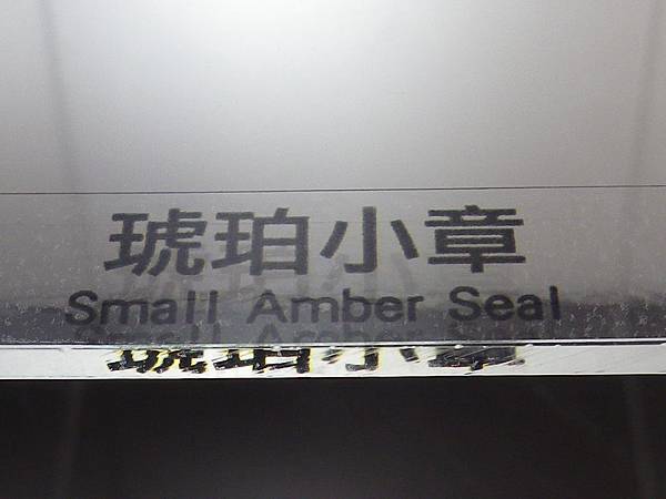IMGP0731