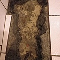 1729