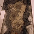1729