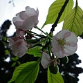 IMGP4581.JPG
