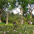 IMGP4945.JPG
