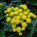 IMGP7999.JPG