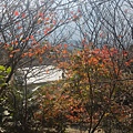 P_20170123_121922.jpg