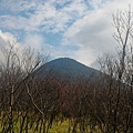 P_20170123_123144.jpg