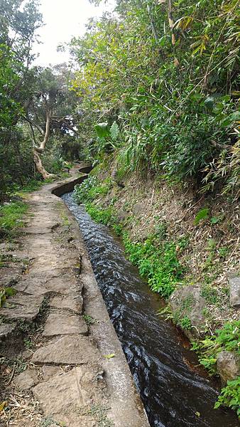 20170207 (23)狗殷勤古道.jpg