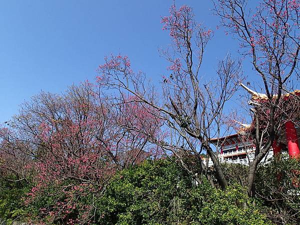 20170214 (2)吳氏宗祠.JPG