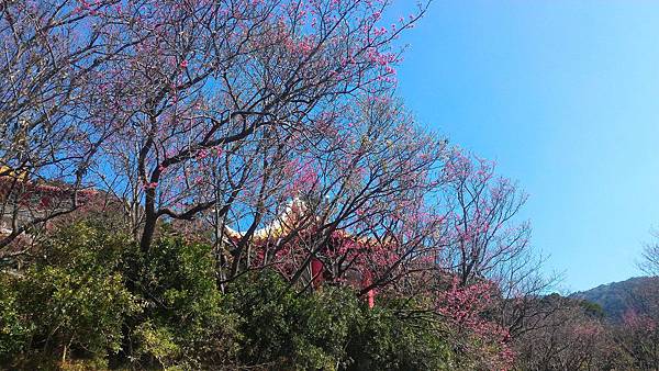 20170214 (1)吳氏宗祠.jpg