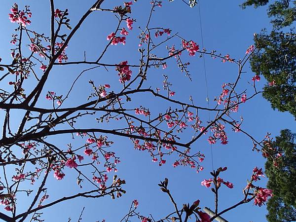 20170214 (11)吳氏宗祠.JPG